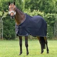 Equiline Climate Control Decke