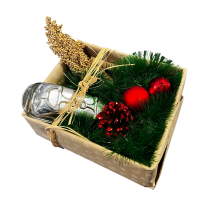 Traumpferd XMAS Box 2