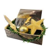 Traumpferd XMAS Box 5