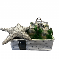 Traumpferd XMAS Box 1
