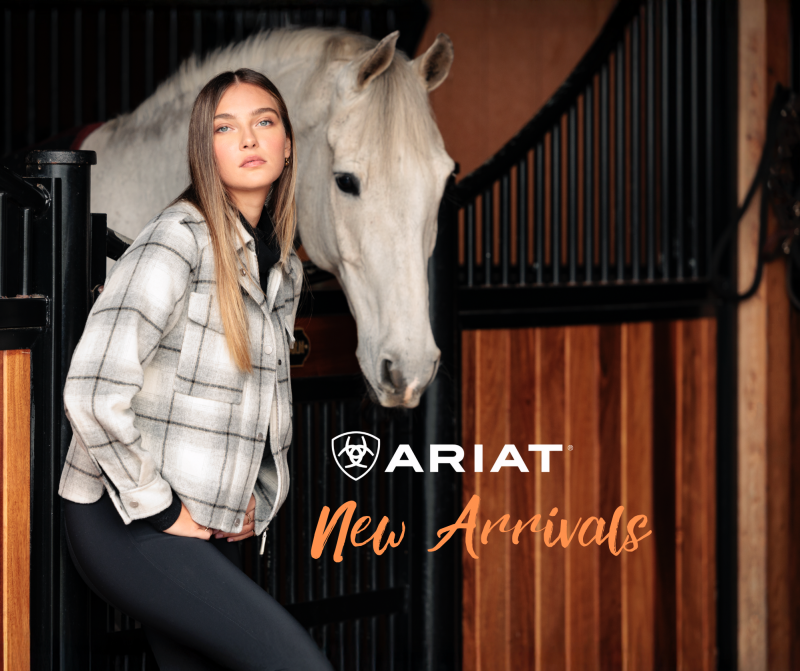 https://www.traumpferd-sk.de/ariat/