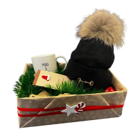 Traumpferd XMAS Box 4