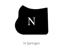 N-Springen