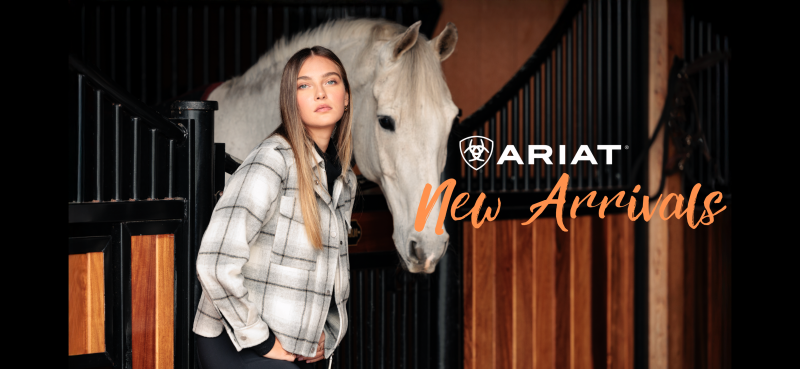 https://www.traumpferd-sk.de/ariat/