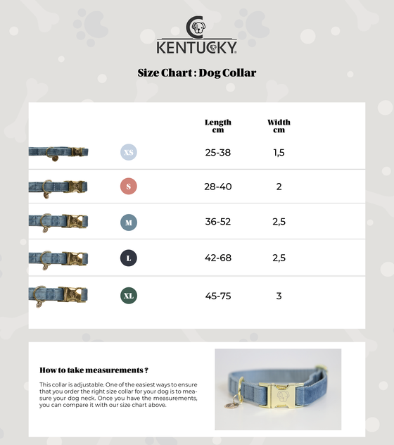 xsize-chart-dog-collar-2-c62eb21cd082965f958356611ae4125f-sizeguide_modal-default-pagespeed-ic-oEer6QlT0w